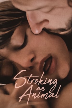 Stroking an Animal Stroking an Animal