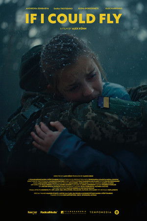 If I Could Fly If I Could Fly