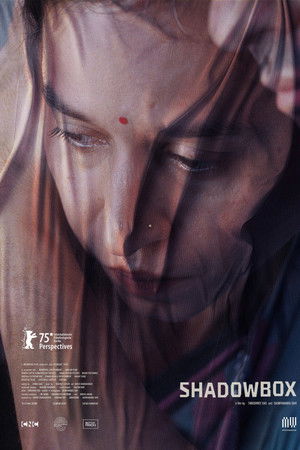 Shadowbox