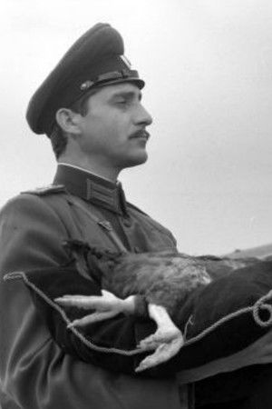 The Penleve Case The Penleve Case