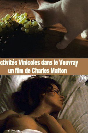 Activités vinicoles dans le Vouvray Activités vinicoles dans le Vouvray