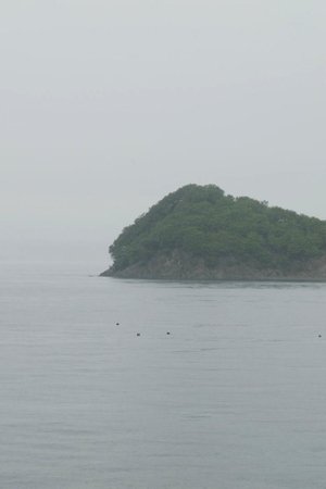 Thousands of Years of Absence Thousands of Years of Absence