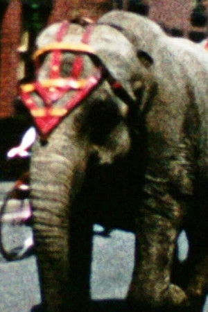 Alvey: Derbyshire Customs Alvey: Derbyshire Customs