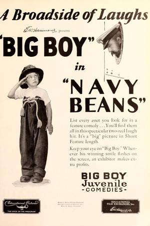 Navy Beans