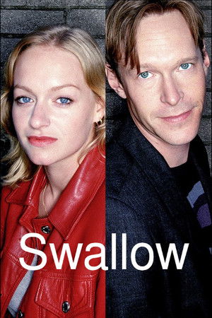 Swallow Swallow