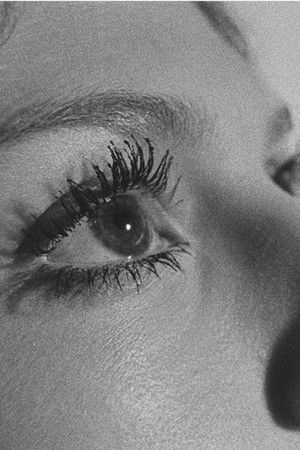 The Soft Space The Soft Space