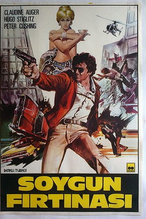 Black Jack Black Jack