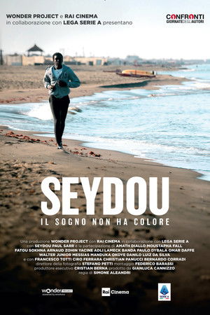 Seydou - Dreams Have No Color Seydou - Dreams Have No Color