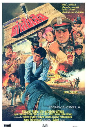 คำสั่งเสือ คำสั่งเสือ