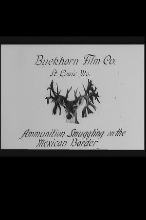 Ammunition Smuggling on the Mexican Border: Incidents of the Mexican Revolution Ammunition Smuggling on the Mexican Border: Incidents of the Mexican Revolution