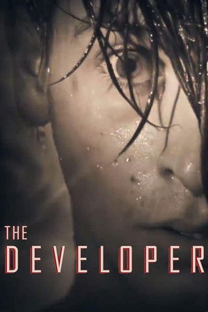 The Developer The Developer