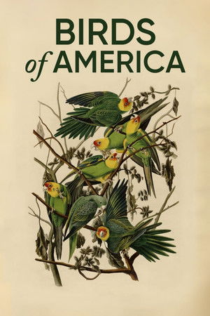 Birds of America Birds of America