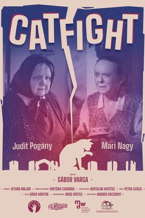 Catfight Catfight