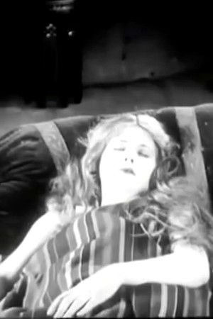 The Cry of the Nighthawk The Cry of the Nighthawk