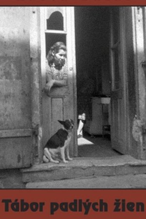 Camp of Fallen Women Camp of Fallen Women