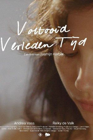 Voltooid Verleden Tijd