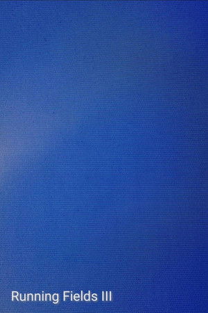 Running Fields III Running Fields III