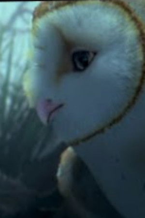 True Guardians of the Earth True Guardians of the Earth