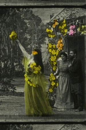 Fantastic Flowers Fantastic Flowers