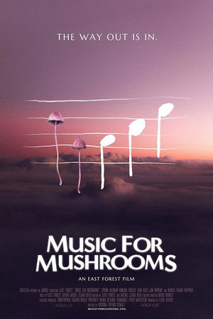 Music for Mushrooms Music for Mushrooms