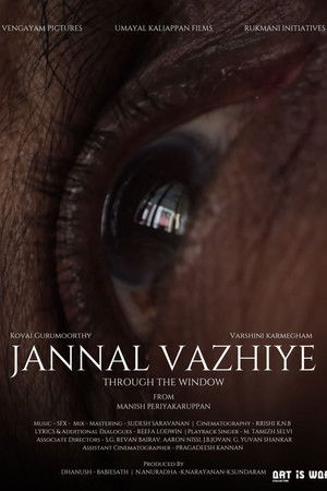 Through the window Through the window