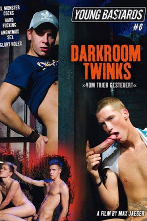 Young Bastards 6: Darkroom Twinks Young Bastards 6: Darkroom Twinks