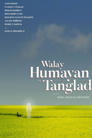 No Rice Grows Among the Lemongrass No Rice Grows Among the Lemongrass