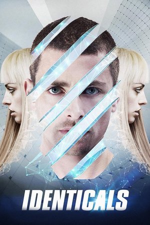 Identicals Identicals