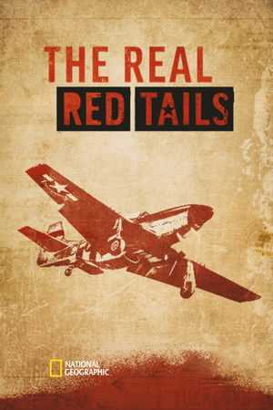 The Real Red Tails The Real Red Tails