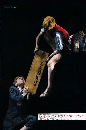 Tajemnica dzikiego szybu Tajemnica dzikiego szybu