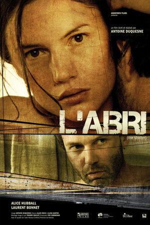 The Shelter The Shelter