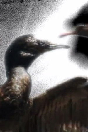 Che Uñüm (Gente Pájaro) Che Uñüm (Gente Pájaro)