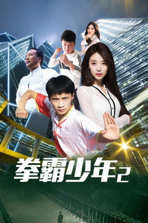 拳霸少年2