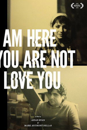 I Am Here You Are Not I Love You