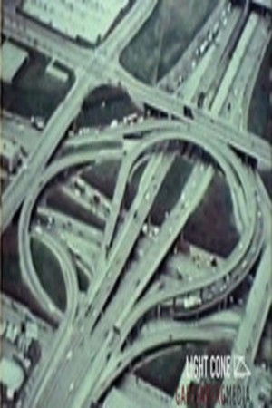 Divided Loyalties Divided Loyalties