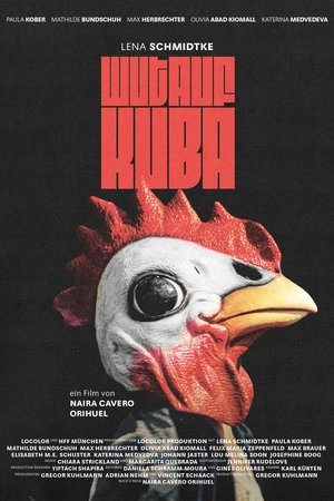 Why Chickens Don‘t Fly Why Chickens Don‘t Fly