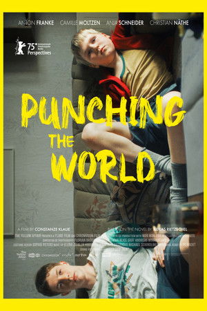 Punching the World Punching the World