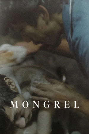 Mongrel Mongrel