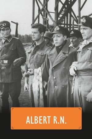 Albert R.N. Albert R.N.