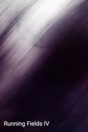 Running Fields IV Running Fields IV