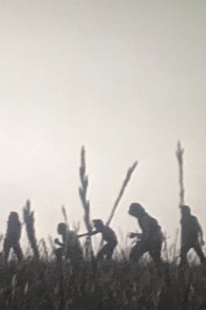 Il Piantone Il Piantone