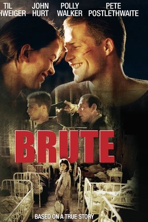 Brute Brute
