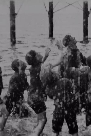 Boys Scrambling For Pennies Boys Scrambling For Pennies