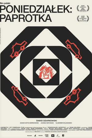 Poniedziałek: paprotka Poniedziałek: paprotka