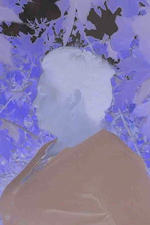 I Made This Movie Thinking of You I Made This Movie Thinking of You