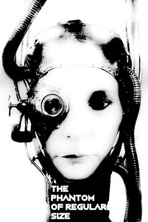 The Phantom of Regular Size The Phantom of Regular Size