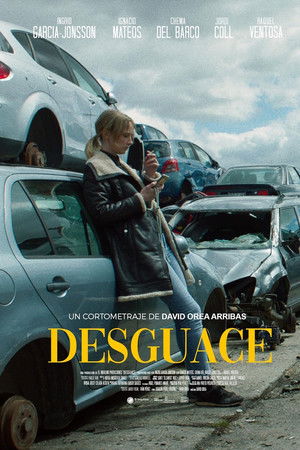 Desguace
