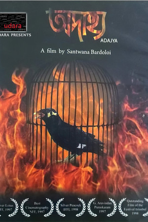 The Flight The Flight