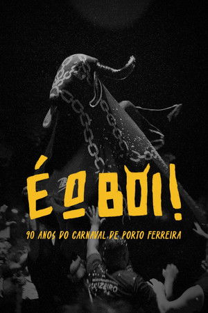 É o Boi É o Boi