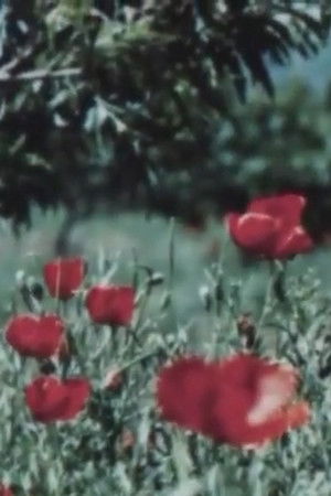 The Art of Tajikistan The Art of Tajikistan